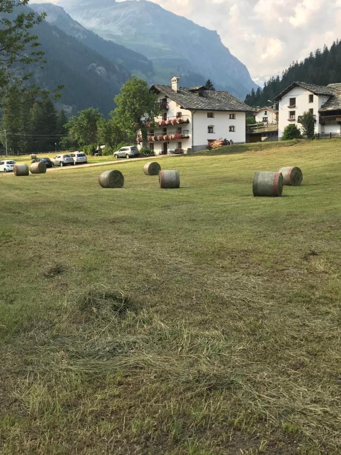 Flora Alpina Apartments-Residenza Verdebjo Gressoney-Saint-Jean Exterior foto