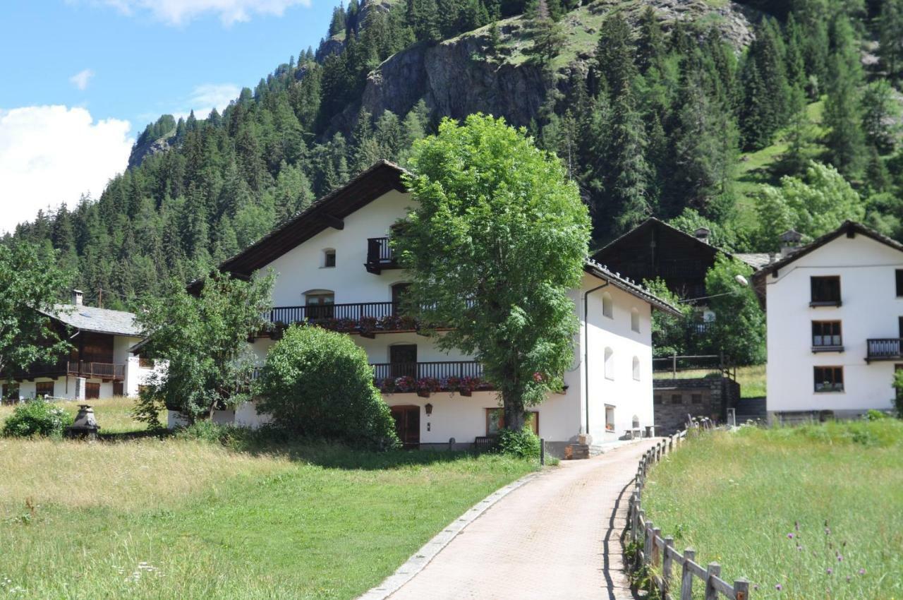 Flora Alpina Apartments-Residenza Verdebjo Gressoney-Saint-Jean Exterior foto